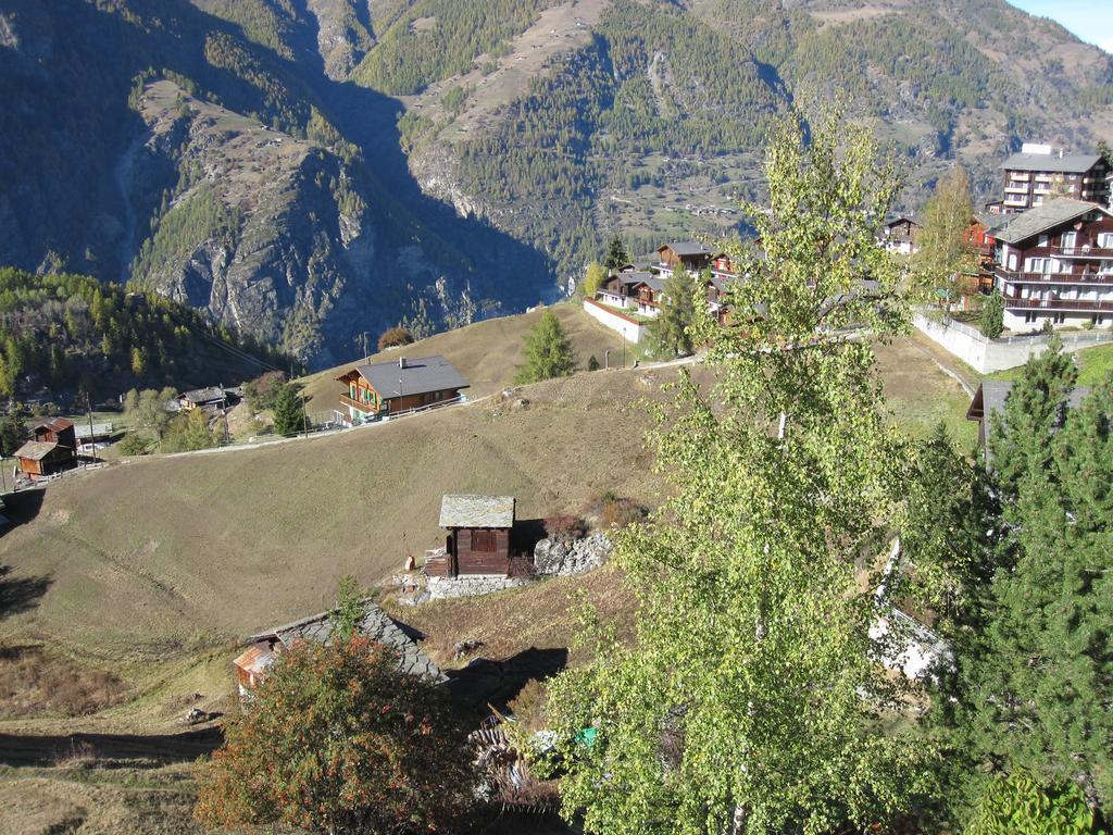 Haus Waldheim Grachen Apartment Bagian luar foto