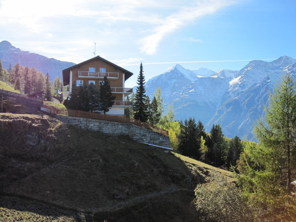 Haus Waldheim Grachen Apartment Bagian luar foto